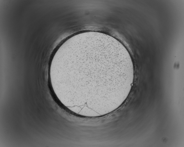 X0000101990011200808081647