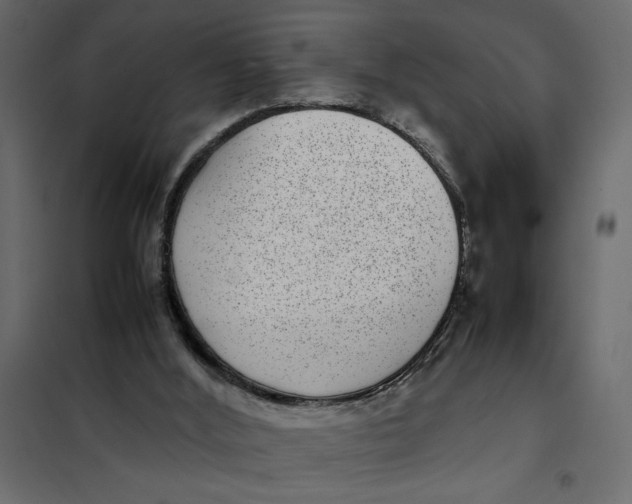 X0000101990012200808081647