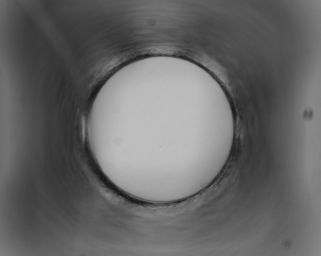 X0000101990013200808081647
