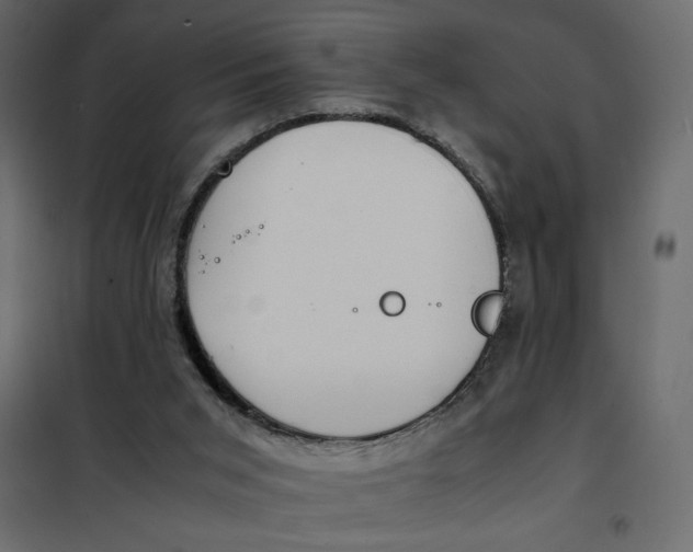 X0000101990015200808081647