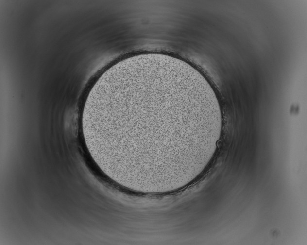 X0000101990016200808081647