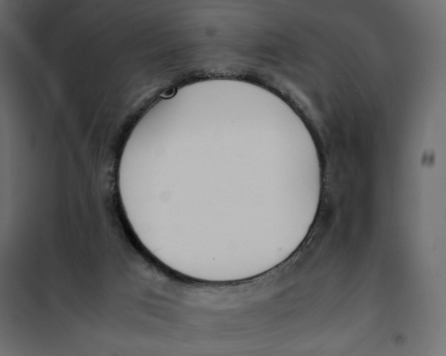 X0000101990017200808081647