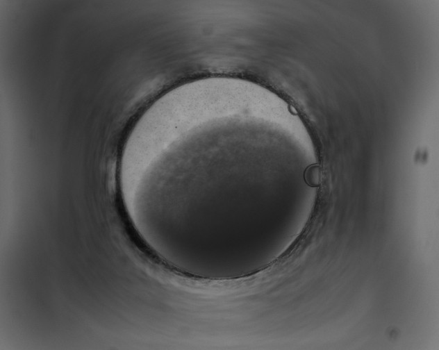 X0000101990019200808081647