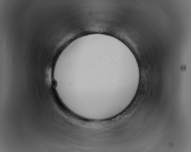 X0000101990020200808081647