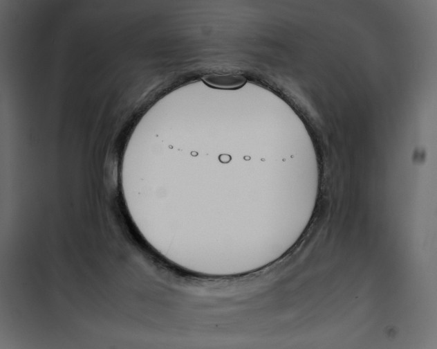 X0000101990021200808081647