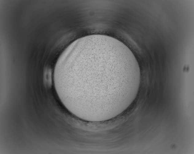X0000101990022200808081647