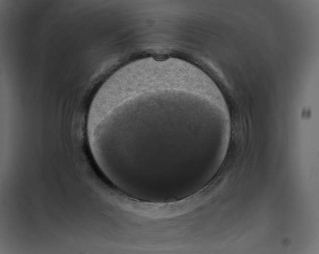 X0000101990023200808081647