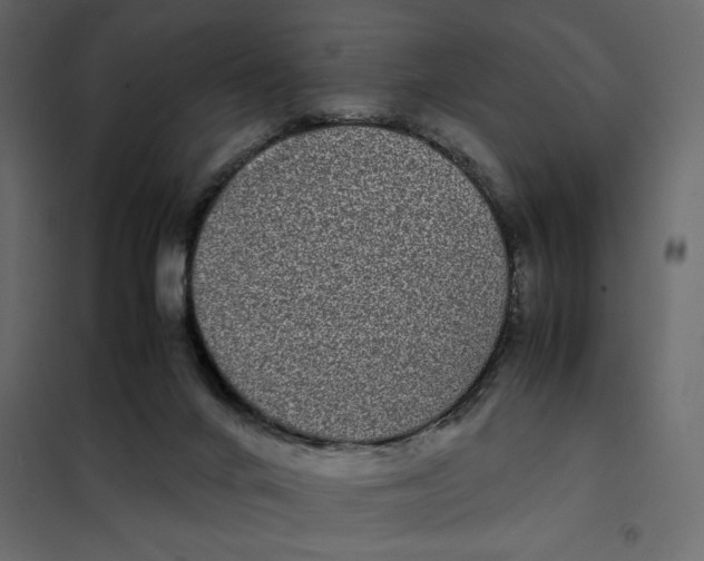 X0000101990024200808081647