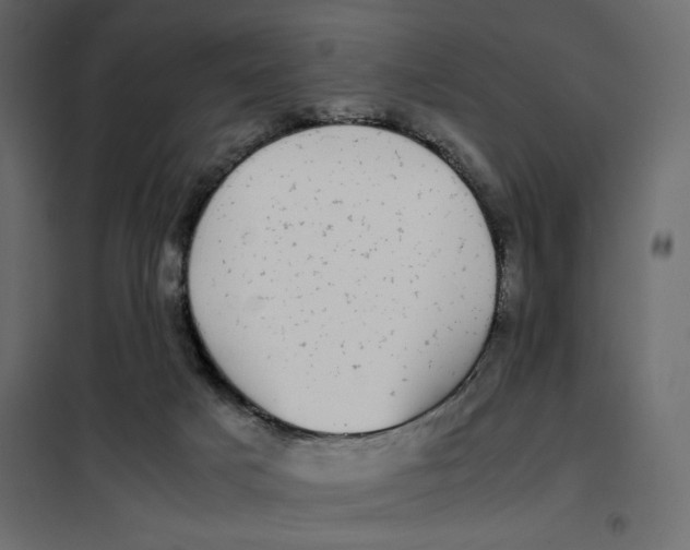 X0000101990025200808081647