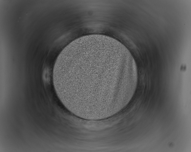 X0000101990026200808081647