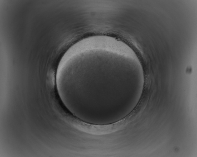 X0000101990027200808081647