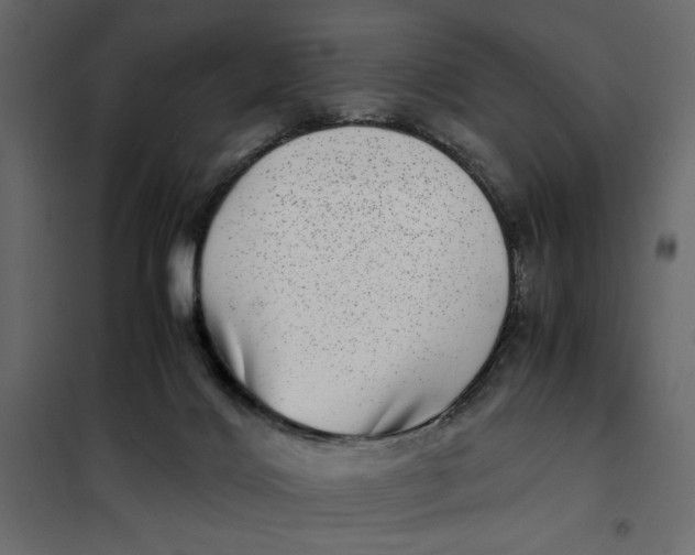 X0000101990028200808081647