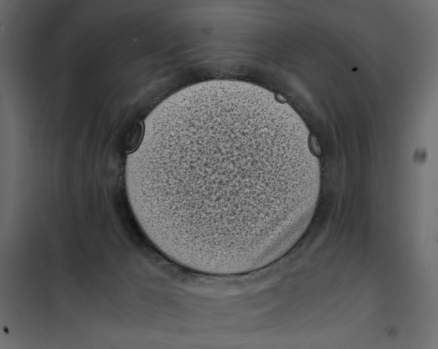 X0000101990029200808081647