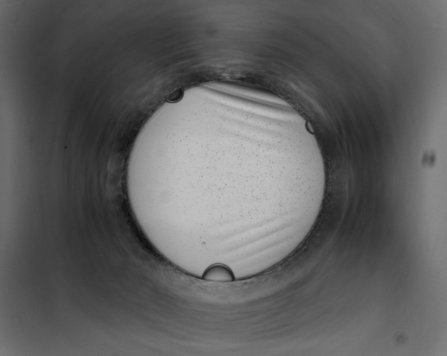 X0000101990030200808081647