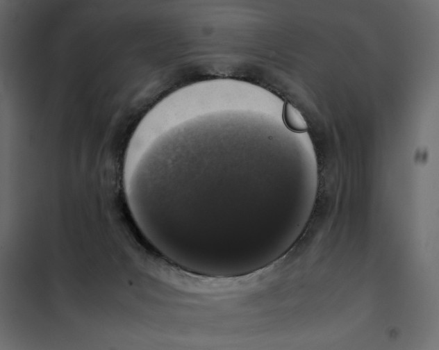 X0000101990031200808081647