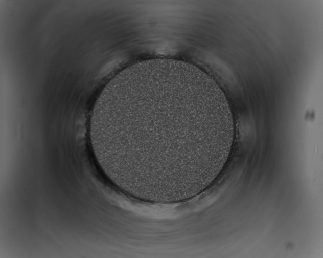 X0000101990032200808081647