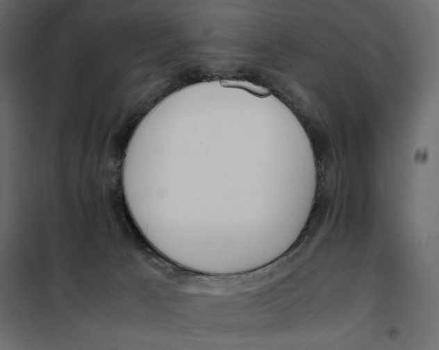 X0000101990033200808081647