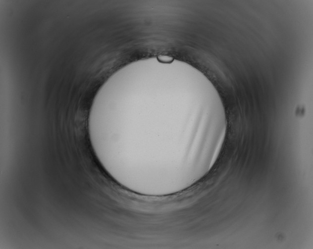 X0000101990034200808081647
