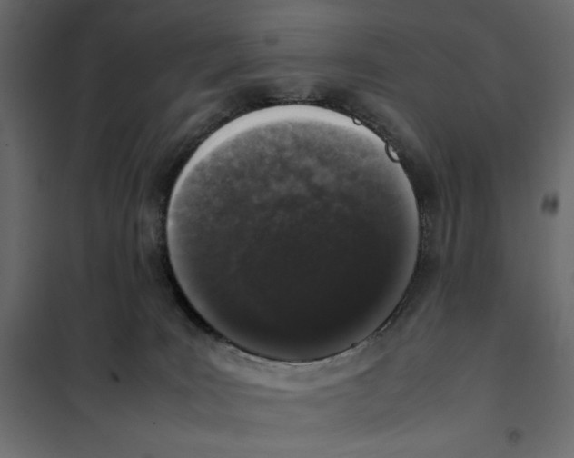X0000101990035200808081647