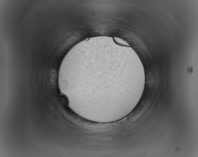 X0000101990036200808081647