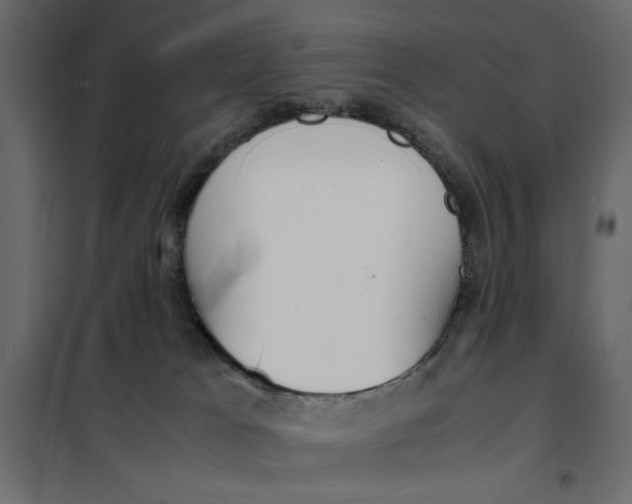 X0000101990037200808081647