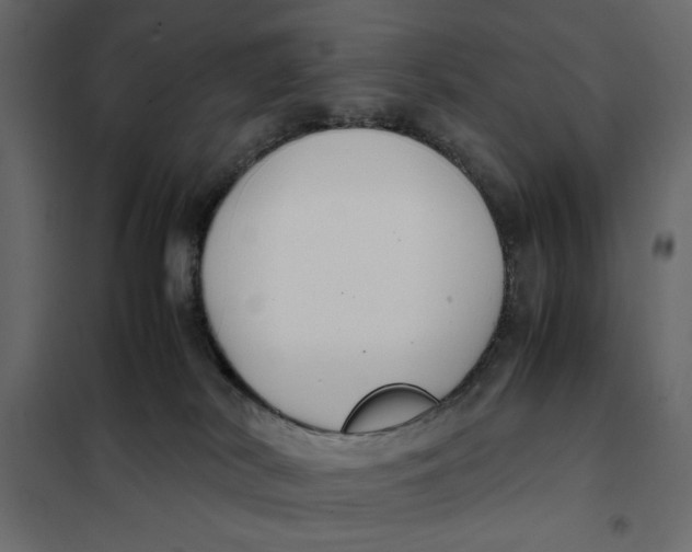 X0000101990038200808081647