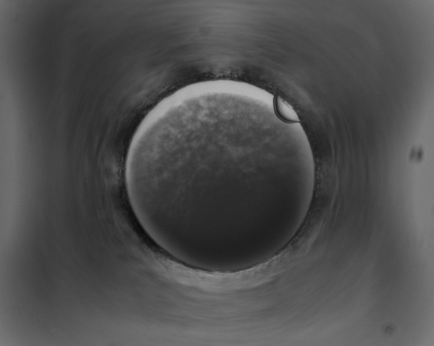 X0000101990039200808081647