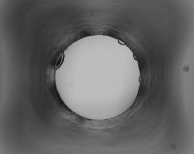 X0000101990041200808081647