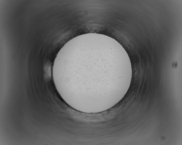 X0000101990042200808081647