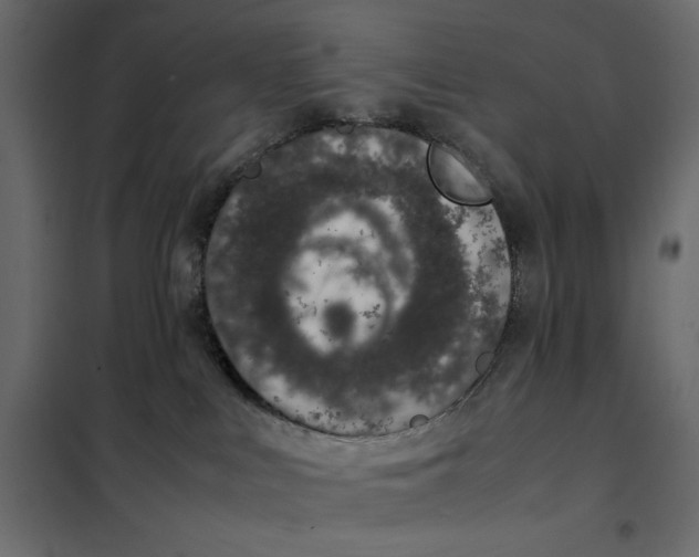 X0000101990043200808081646