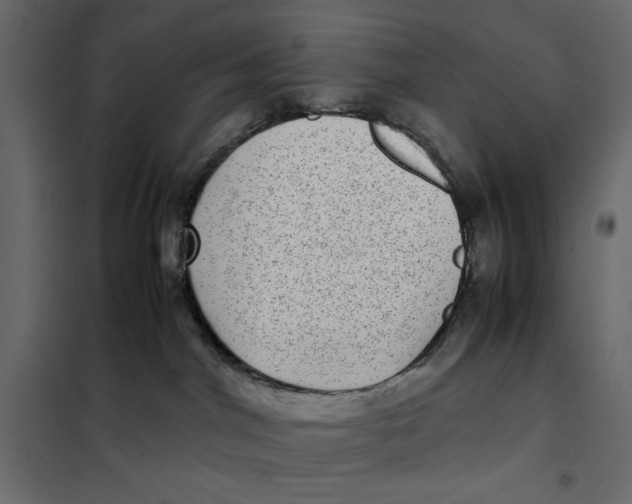 X0000101990044200808081646