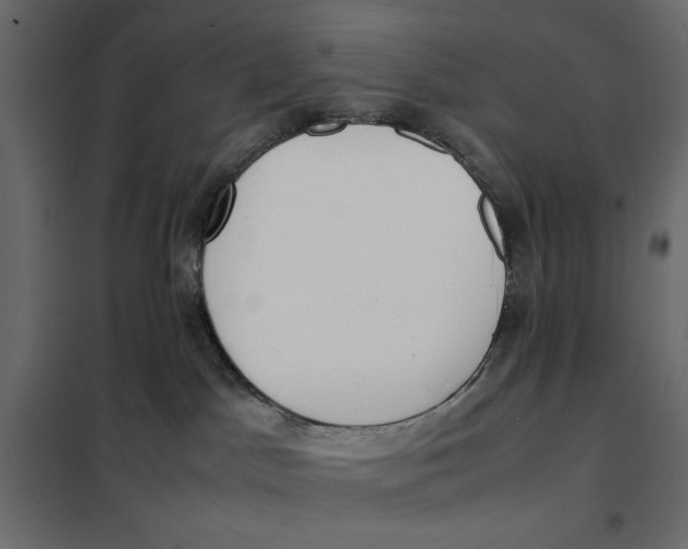 X0000101990045200808081646