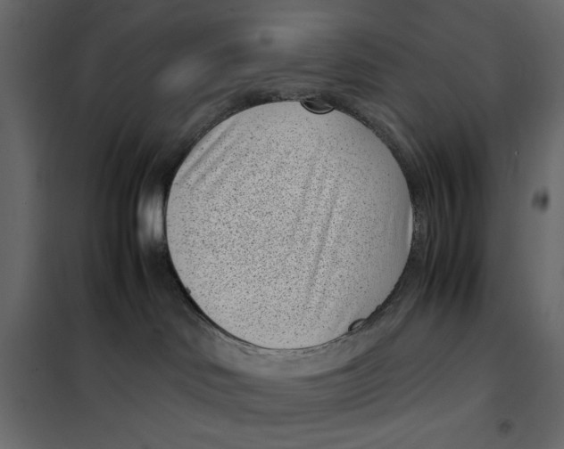 X0000101990046200808081646
