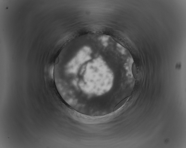 X0000101990047200808081646