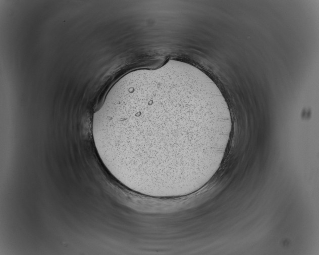 X0000101990048200808081646