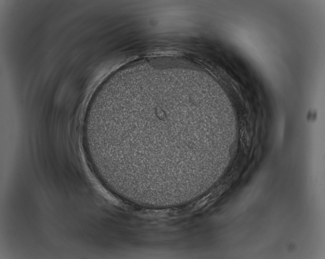 X0000101990049200808081646