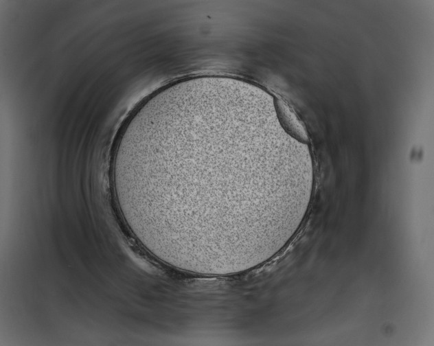 X0000101990050200808081646
