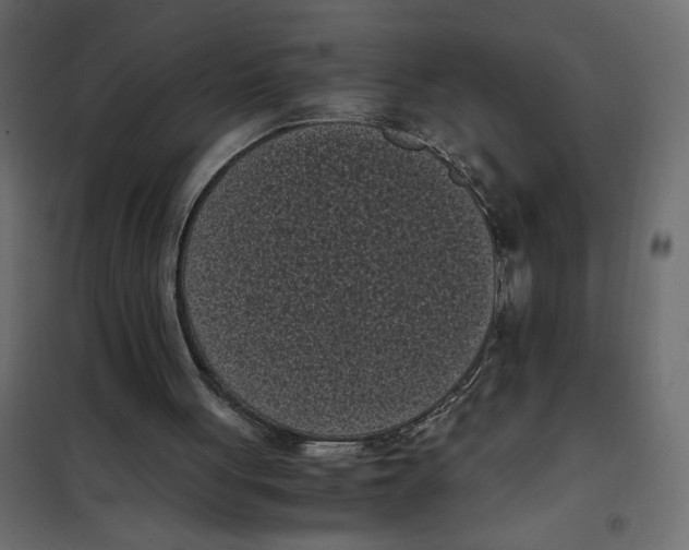 X0000101990051200808081646