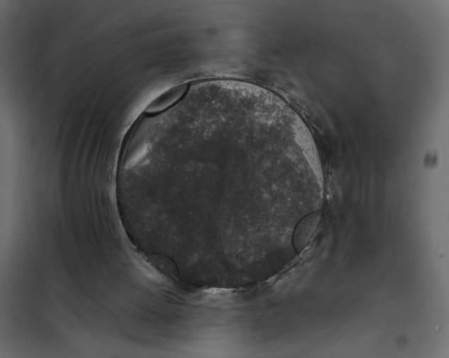 X0000101990052200808081646