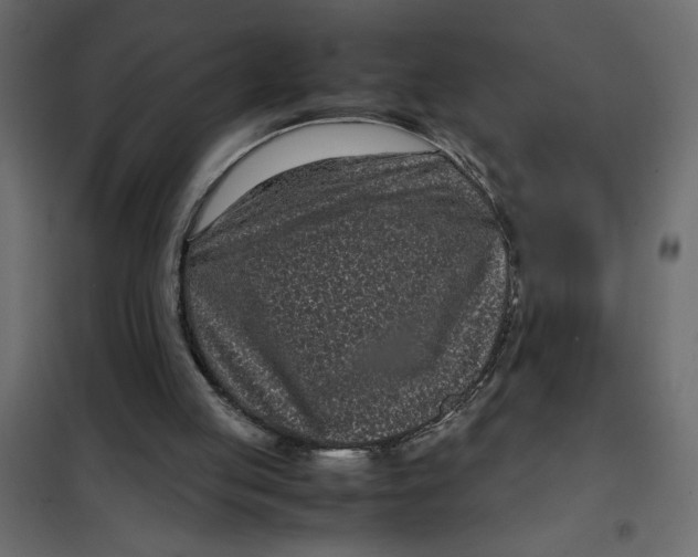 X0000101990053200808081646
