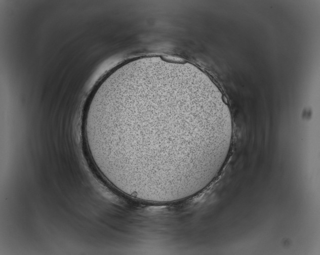 X0000101990054200808081646
