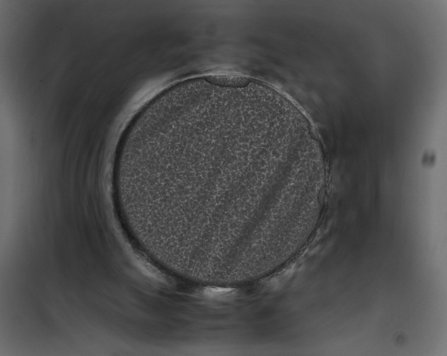 X0000101990055200808081646
