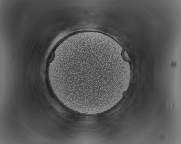 X0000101990056200808081646