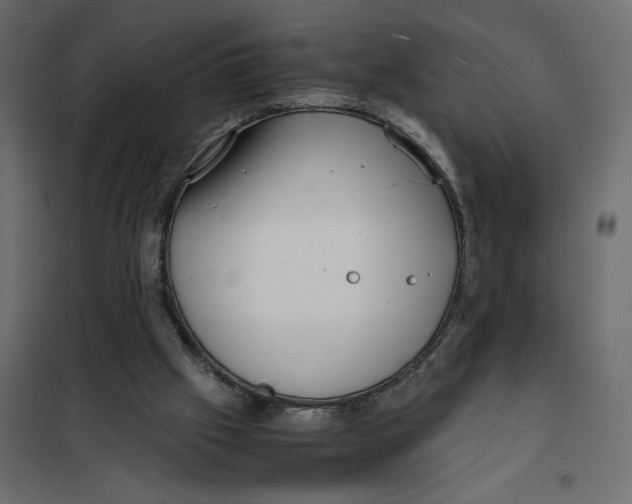 X0000101990057200808081646