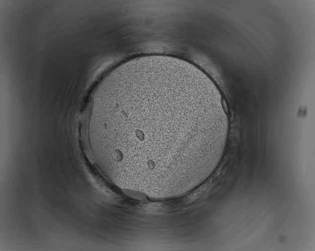 X0000101990058200808081646