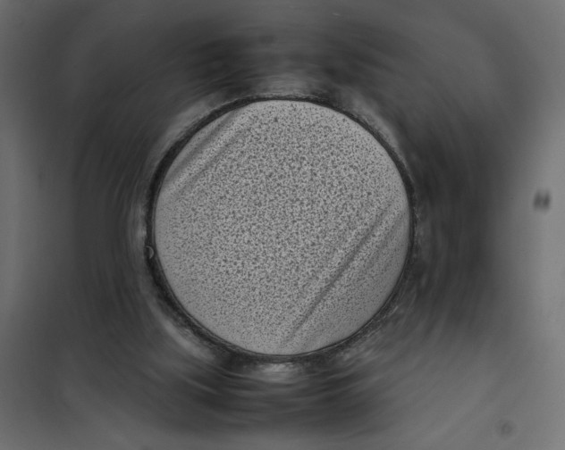 X0000101990059200808081646