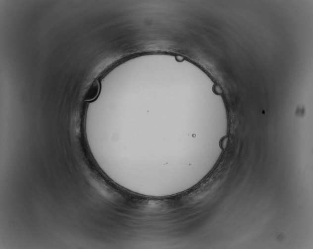 X0000101990060200808081646