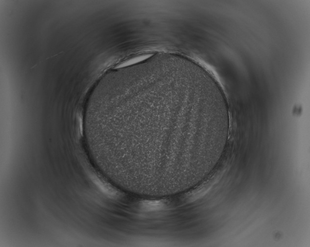 X0000101990061200808081646