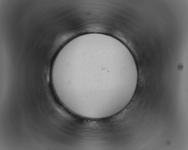 X0000101990062200808081646
