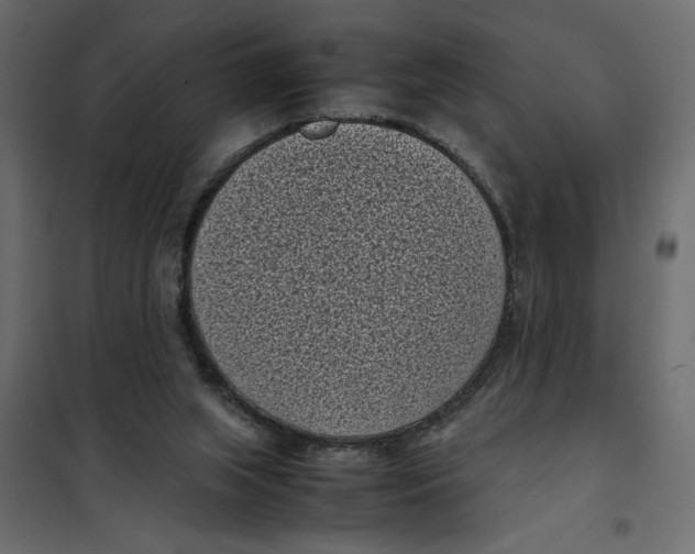 X0000101990063200808081646